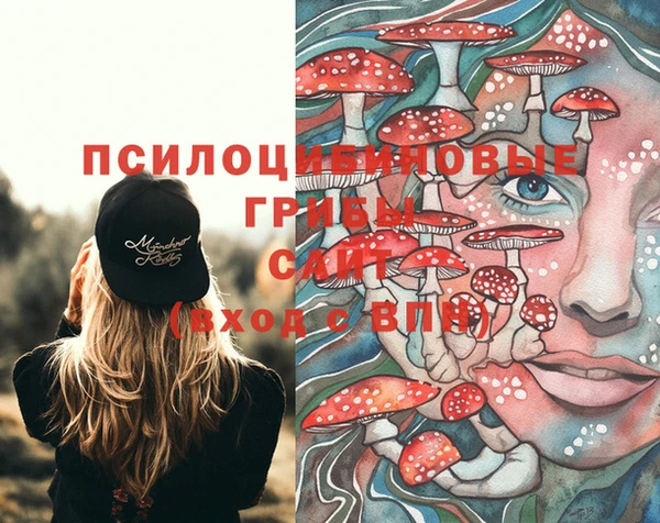 не бодяженный Магадан