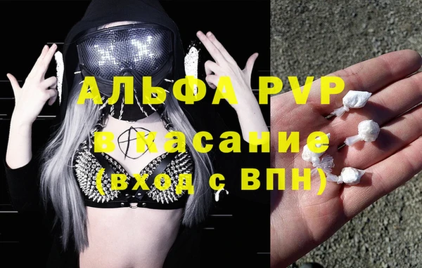 тгк Магас
