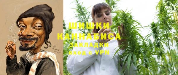 тгк Магас