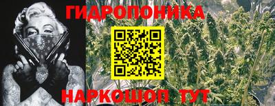 амф Заволжье