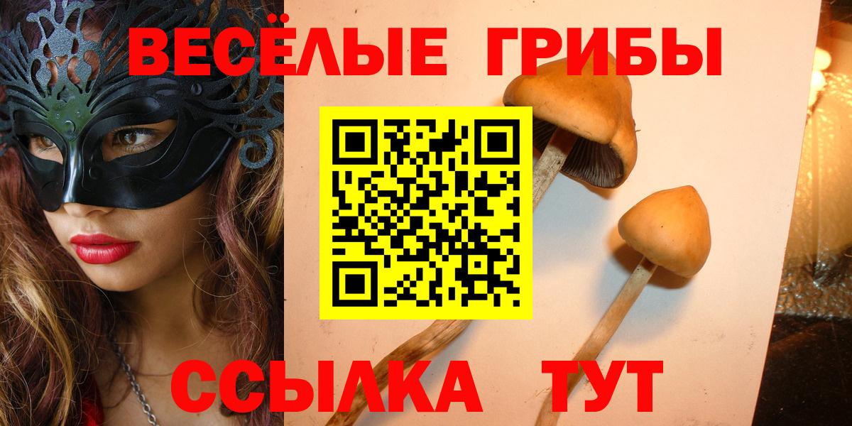Галлюциногенные грибы Magic Shrooms Сарапул