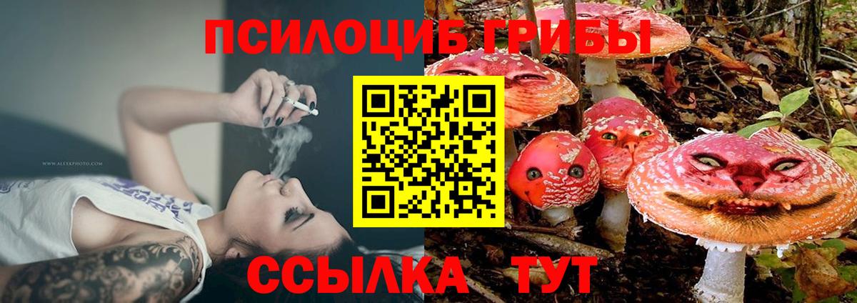 Галлюциногенные грибы Magic Shrooms Сарапул