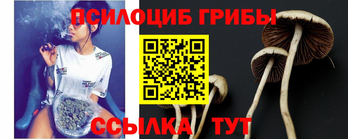 Галлюциногенные грибы мицелий  Вход с VPN  закладки  Сарапул  Галлюциногенные грибы Cubensis 